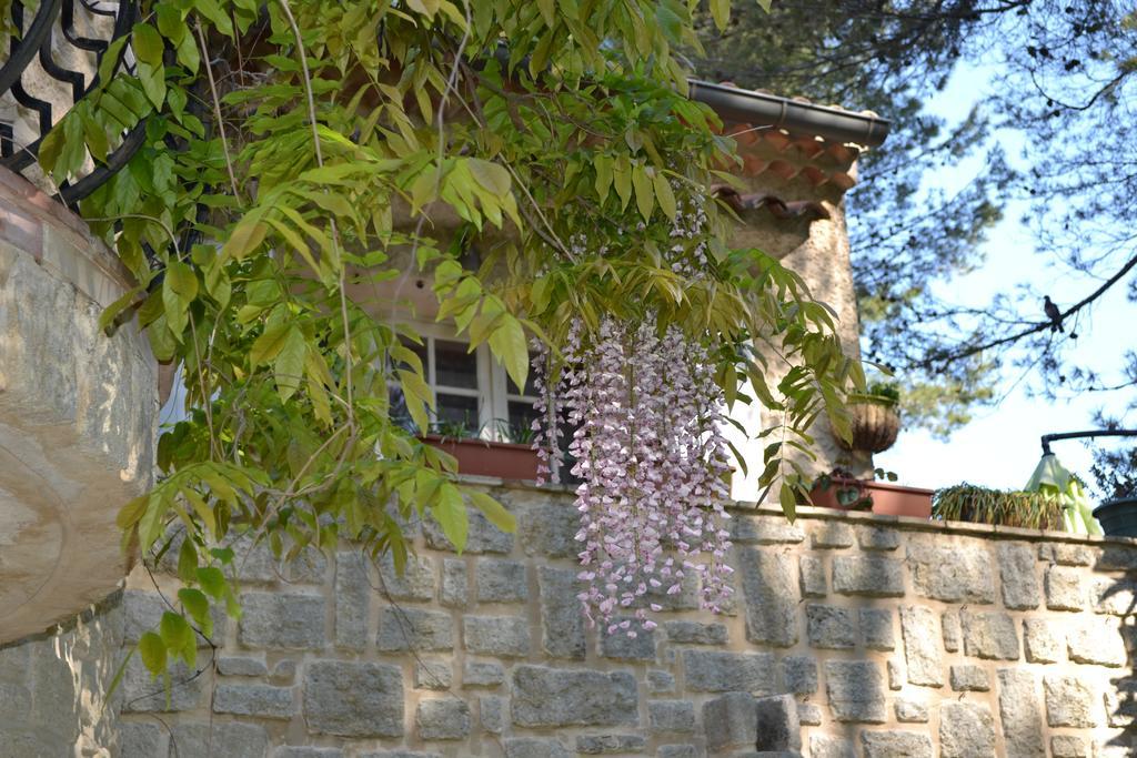 Hôtel Mas Les Filaos  à Carpentras Extérieur photo